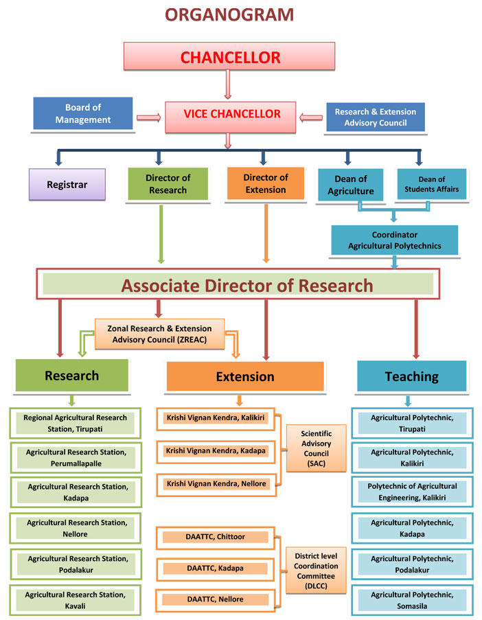 flowchart flowchart